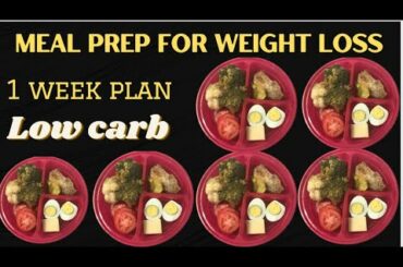 Meal Prep for Weight loss | Meal Prep ideas| SUPER EASY 1 WEEK MEAL PREP FOR WEIGHT LOSS | Bento Box