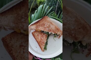 Smoked Spinach Corn Paneer Sandwich | Healthy Sandwich | Tasty | Easy to prepare