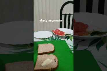 veg sandwich (Healthy  breakfast  &lunch idea)