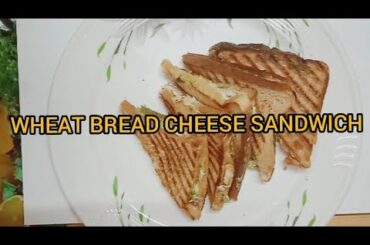WHEAT BREAD CHEESE SANDWICH/EASY  HEALTHY BREAKFAST