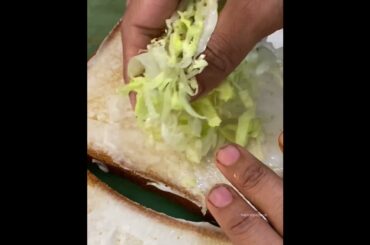 BEST SANDWICH RECIPE || VEG SANDWICH || HARISTO PIZZERIA, EAST DELHI