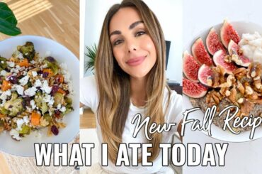 WHAT I ATE TODAY | Cozy & Healthy Fall Recipes | Annie Jaffrey