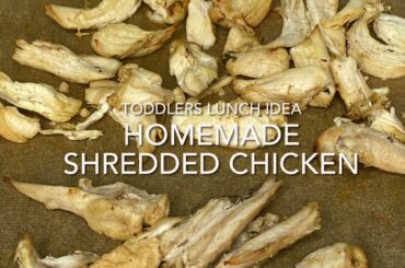 Shredded Turkey/Chicken Breast Recipe for Toddler Lunch Ideas! Healthy Protein Recipe
