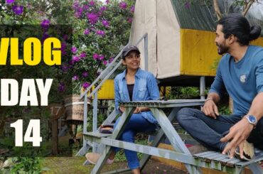 How to plan your meals for Weight loss#weightloss #diet #homeworkout #transformation #dietplan