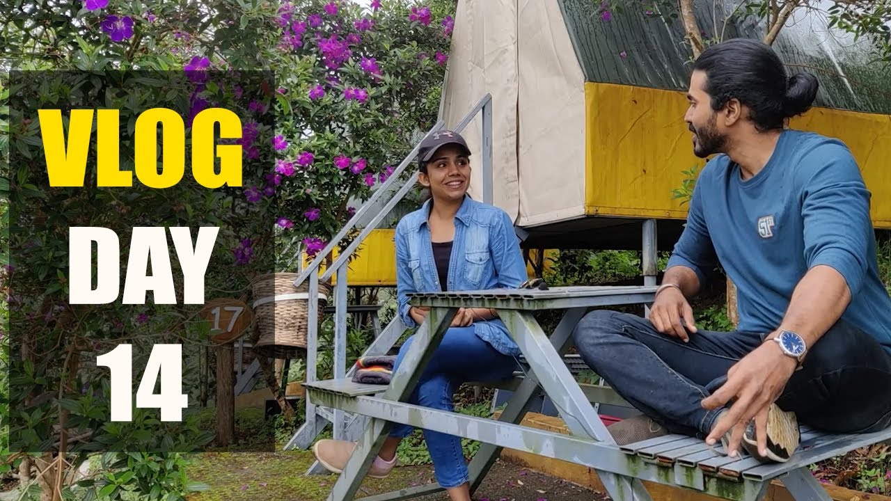 How to plan your meals for Weight loss#weightloss #diet #homeworkout #transformation #dietplan How to plan your meals for Weight loss#weightloss #diet #homeworkout #transformation #dietplan