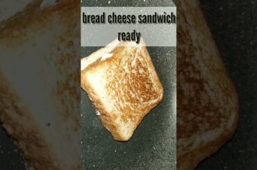 #shorts Healthy bread sandwich quick and easy recipe no white bread,garlic and onion