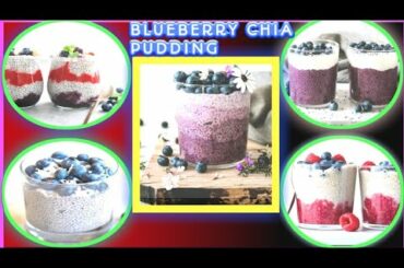 BLUE BERRY & CHIA PUDDING KETO RECIPE- HEALTHY KETO MEAL#low carb recipes #short#tiktok#keto#recipes
