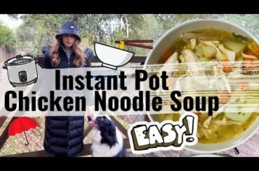 Easy and Healthy Instant Pot Chicken Noodle Soup - Instapot recipe to boost immune system + protein