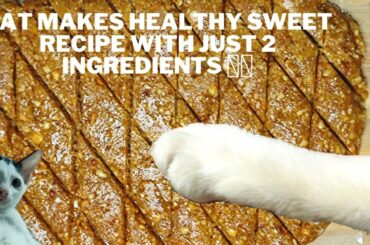 Cat Makes Healthy Sweet Recipe In Just 15 Minutes #cookingcat #sweet #streetfood #instantsweet