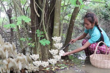 Mushroom grow season in forest | Cooking Mushroom Pork Chicken egg | Healthy food cooking