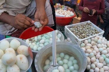This Man sells Extremely Pure Healthy Food Boiled Eggs Quail Eggs! Extreme Eggs peel Skills! #BdFood
