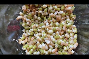 Energetic Protein sprouts Salad  Recipe || Mung Bean and Moth sprouts #diet#healthy#weightloss