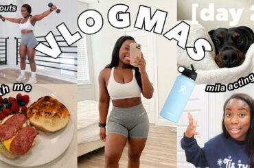 HEALTHY DAY IN MY LIFE | caroline girvan workouts, healthy recipes + taylor woods merch | vlogmas #2