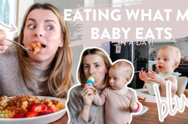 Eating What My 11 Month Old Eats?! A Full Day of Eating + Easy & Healthy Meal Ideas