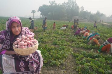 Fast And Delicious Snacks Food Recipes Crispy New Potato Pakora Recipe ALOO PAKODA Fresh Alu Piyaju
