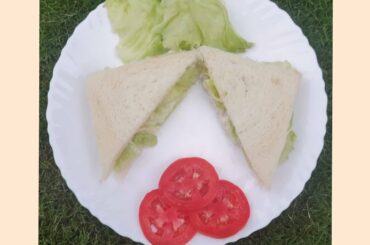 CHICKEN MAYONNAISE SANDWICH RECIPE/CHICKEN MAYONNAISE RECIPE/ CHICKEN MAYO SANDWICH/SANDWICH #SHORTS