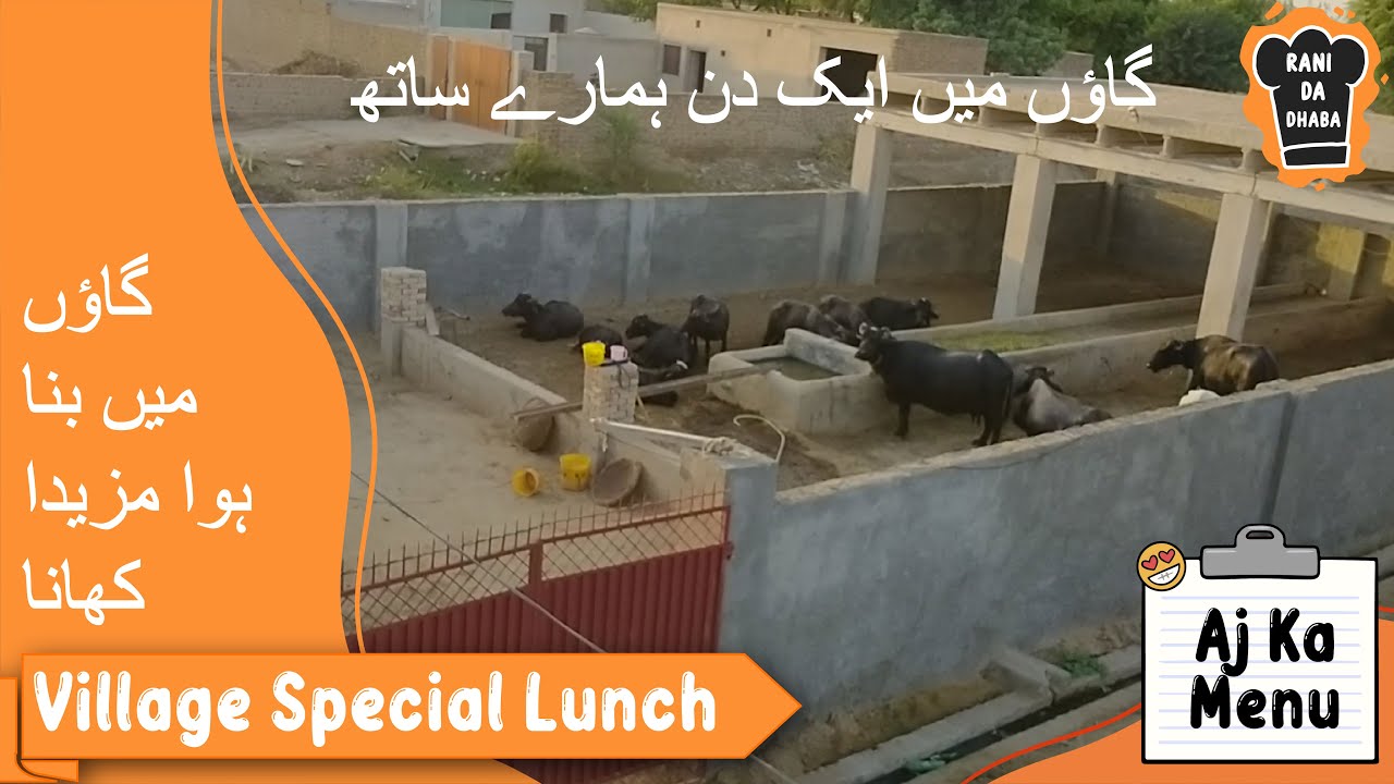 Gaon Ki Sair | Gaon Ka Desi khana Daal Roti Easy Recipe| Day In A Village | Rani Da Dhaba Gaon Ki Sair | Gaon Ka Desi khana Daal Roti Easy Recipe| Day In A Village | Rani Da Dhaba