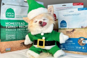 3 Easy And Healthy Recipes For Your Dog Using Open Farm