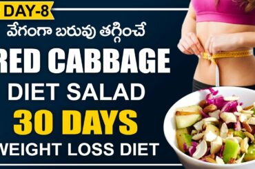 Red Cabbage Salad Recipe - Healthy Diet Recipes for Weight Loss - Weight Loss Diet Recipes in Telugu