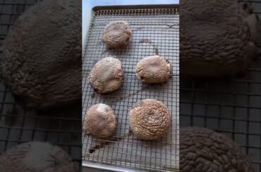 Healthy Recipes for Weight Loss | Meals for Weight Loss #Shorts #mealstoburnfat #mealstoloseweight