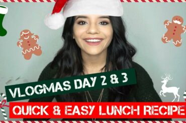 Easy HEALTHY lunch recipe + clothing haul| VLOGMAS DAYS 2 & 3