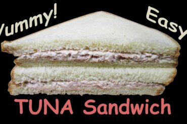 Tuna Sandwich Recipes - Tuna Fish Sandwich - Tuna Salad Sandwich - Healthy Tuna Recipe - HomeyCircle