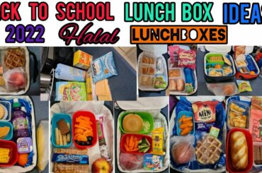 *NEW*LUNCHBOX IDEAS FOR BACK TO SCHOOL||HALAL LUNCH BOX IDEAS FOR KIDS||BACK TO SCHOOL 2022 LUNCHES