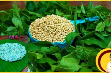 Recipe for weight loss | Weight loss recipe | Healthy recipe | Low calorie food recipes