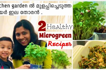 Two Healthy Microgreen Recipes | Payar IlaThoran| Healthy Omelet Recipe | Mom Life Journal