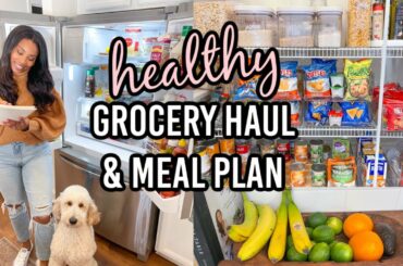 HEALTHY GROCERY HAUL | MEAL PLAN WITH ME FOR THE WEEK // LoveLexyNicole