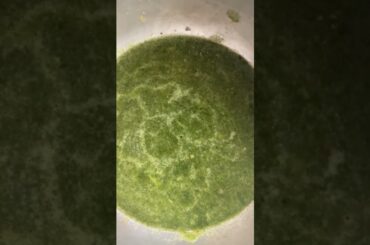 Kotambaripalle gojju #Corrianderleavesgojju#Healthy recipes