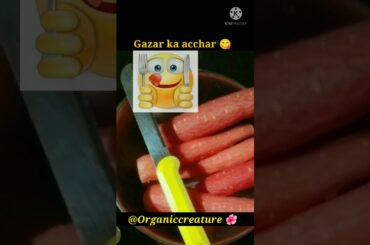 Gajar ki recipe , gajar ka acchar , cooking healthy recipes #youtube #shorts #youtubeshortsfeature