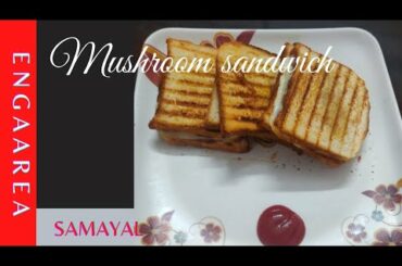 Healthy Sandwich recipe #mushroom sandwich | Evening snacks recipe #snacks #cheesesandwich #shorts
