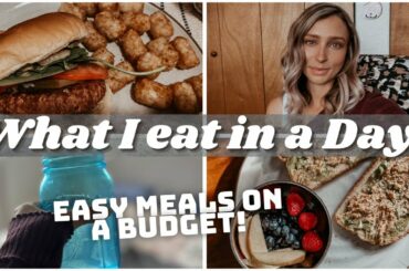 MEALS OF THE DAY || HEALTHY MEALS ON A BUDGET