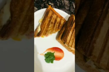 Healthy Sandwich Recipes For Weight Loss | Healthy Breakfast | Gurjit singh vlogs