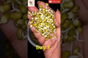 Shorts#29 Sprouts chaat/moong chaat/healthy breakfast recipes/mung dal in a tasty way #healthyfood