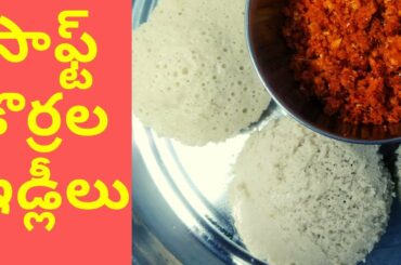 Korrala Idli - Foxtail Millet Healthy Breakfast Ideas  - Korralu Recipes in Telugu