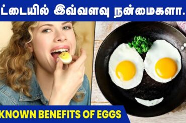 Surprising Benefits Of Eggs | 5 Healthy Egg Recipes