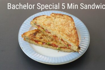 5 Mins Onion Tomato Sandwich Recipe - Quick & Easy Breakfast Ideas - Healthy Bachelor Recipes
