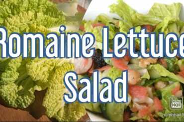 Romaine Lettuce Salad | Weight loss Salad | Healthy Salad Recipe | How to make salad dressing?
