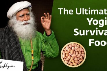 An Easy Breakfast Recipe for High Energy (2 minutes)