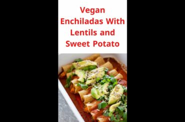 Healthy Dinner Recipes That Can Help You Lose Weight