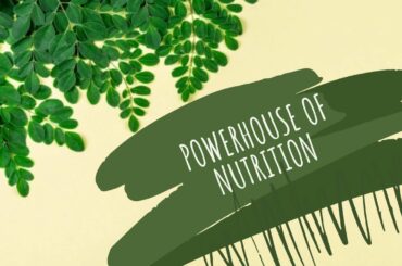 DRUMSTICK LEAVES / MORINGA LEAVES- NUTRITIVE VALUE- HEALTHY RECIPES