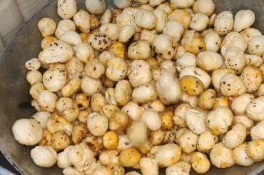 Masala Makhana Recipe | Quick and healthy Snacks | Easy Snacks Recipe |Phool Makhana|Snacks Recipe