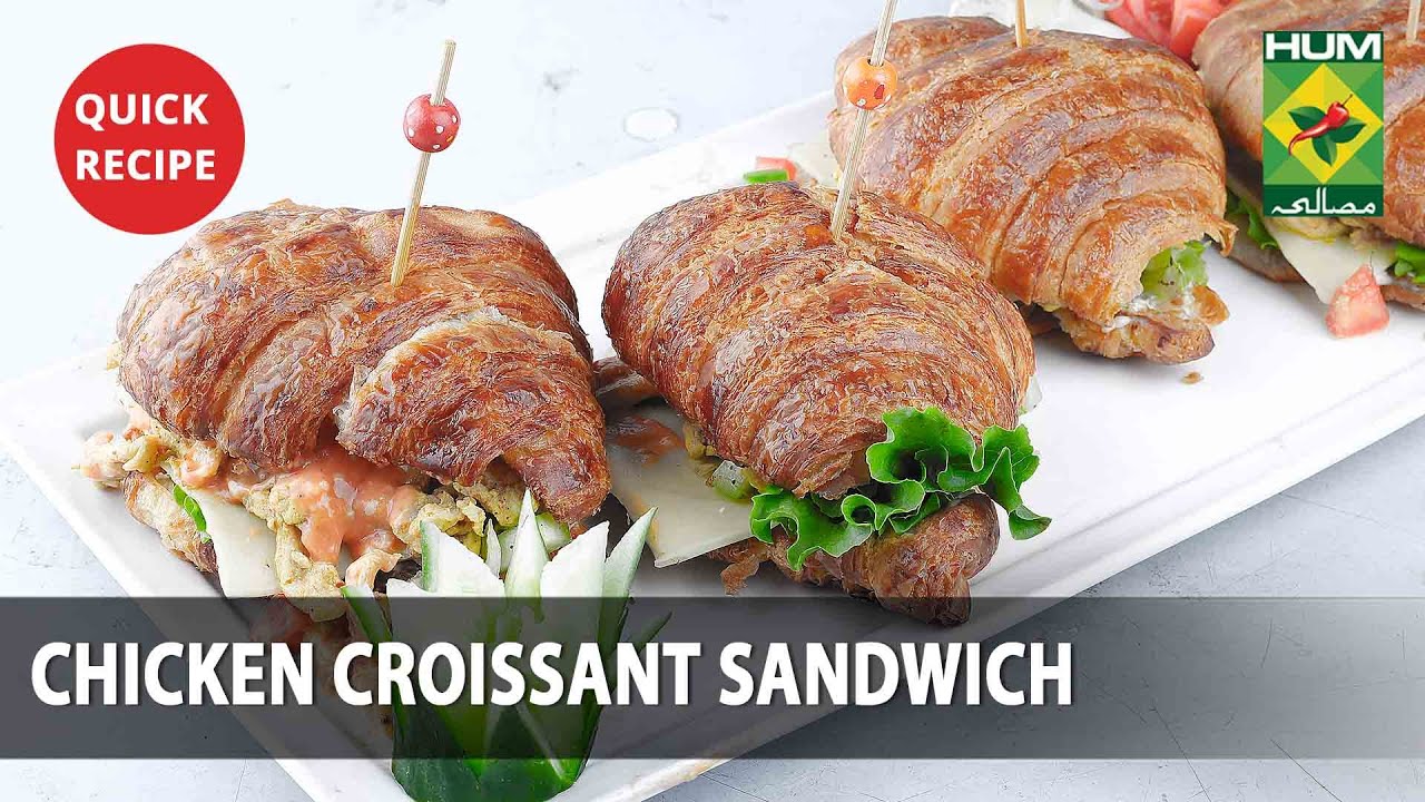 Chicken Croissant Sandwich Amazing Recipe – Try it Now | Quick & Healthy Recipes | Masala TV Chicken Croissant Sandwich Amazing Recipe - Try it Now | Quick & Healthy Recipes | Masala TV