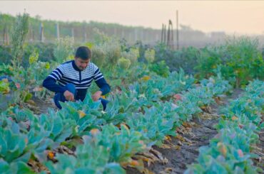 Indian Farm Cooking Video | Indian Village Cooking Lunch Preparation