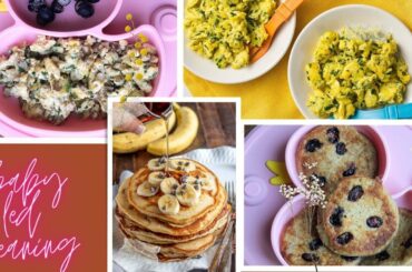 5 Easy & Healthy Breakfast Recipes for Baby & Toddler (6M+) | Baby Led Weaning Breakfast Ideas.