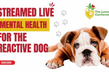 The Lemonade Conference 2022 Lunch Panel: Mental Health for the Reactive Dog (Fri, Feb 11)