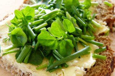 GOAT CHEESE SANDWICH || WHITE BEAN AVOCADO SANDWICH  || 2 HEALTHY VEGETARIAN SANDWICH RECIPES