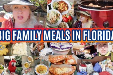 Big Family Meals on Vacation in Florida including Dinners, Alligators, Theme Parks & Adventures!